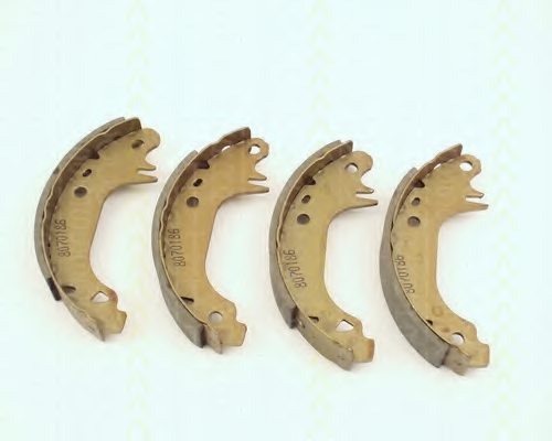 TRISCAN 8100 38491 Brake Shoe Set